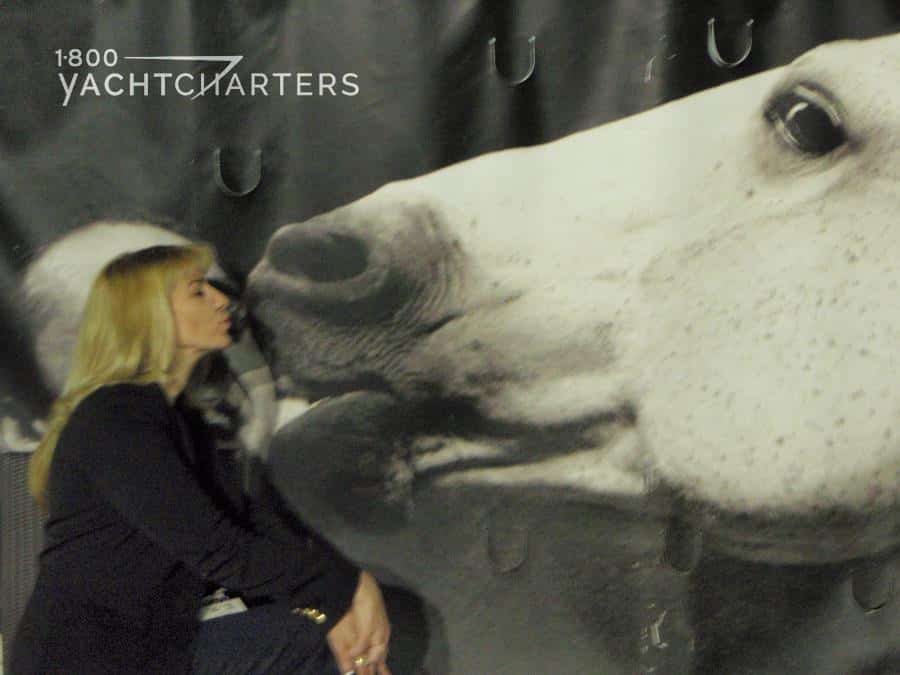 Photograph of Jana Sheeder kissing the nose of a white horse. Jana is sitting in front of the horse photo backdrop and is facing the horse