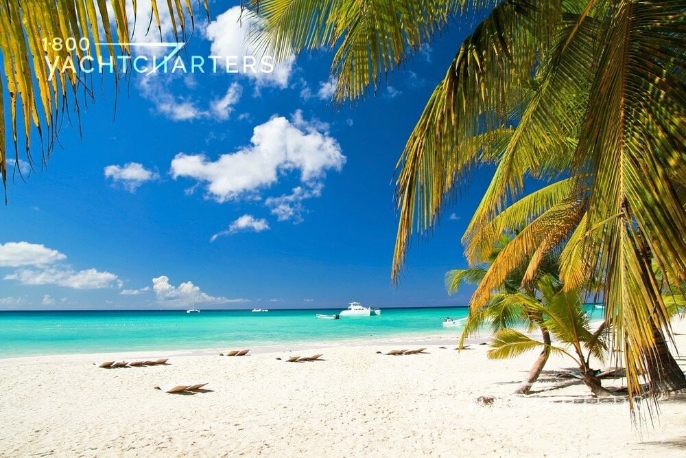 Photograph of a white sandy beach in the foreground. There is a palm tree at the right side of the photo.  In the distance, the ocean begins with turquoise water, graduating into darker blue water. The sky is blue with puffy clouds.  There is a white catamaran sailboat at anchor in the distance, just off center in the photograph.