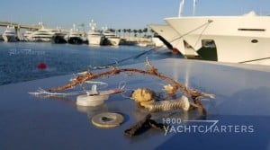 Miscellaneous trash items found on dock of yacht marina laid out on the top of a metal dock box
